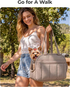 BAGSMART Dog Purse Carrier for Small Dogs Up to 15lbs Puppy Travel Tote Bag | Quilted Puffy Soft Sided Pet Handbag with Pockets, Collapsible Lightweight Portable Carrying with Safety Tether & Mat, Green