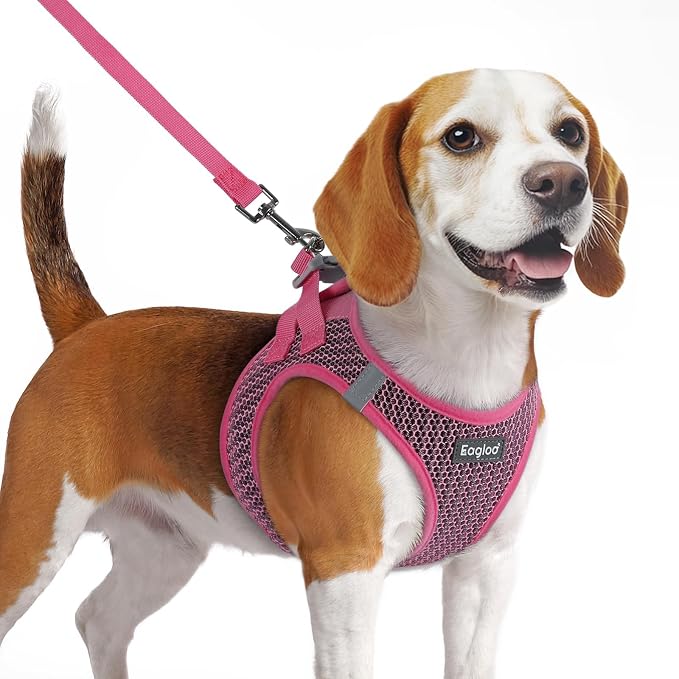 Eagloo Small Dog Harness and Leash Set, Step in Medium Small Puppy Pet Vest | Light, Soft, Breathable Air Mesh, Easy on and off with Hook & Loop, Reflective for Safe Walking, Rose Red, M