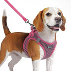 Eagloo Small Dog Harness and Leash Set, Step in Medium Small Puppy Pet Vest | Light, Soft, Breathable Air Mesh, Easy on and off with Hook & Loop, Reflective for Safe Walking, Rose Red, M