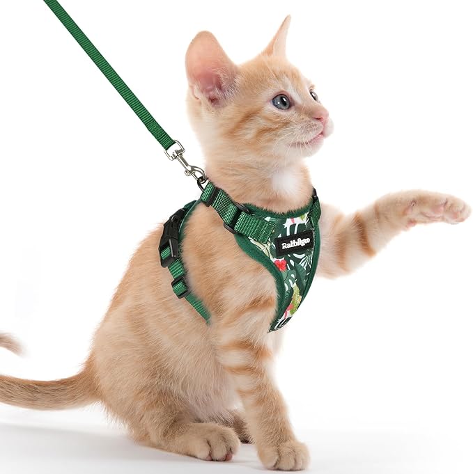 rabbitgoo Cat Harness and Leash Set, Escape Proof Vest, Rainforest Green | Soft Breathable Mesh, Easy Adjustable Fit, Snap Buckles, Sturdy Clip, Reflective Strips, for Kittens & Small Cats Walks, Xxs