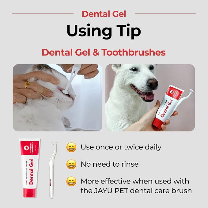 JAYU PET Dental Gel Dog Cat Toothpaste, 2.8 Ounce | Removing Plaque and Tartar, Teeth Cleaning & Breath Freshener, Puppy Kitten Dental Care
