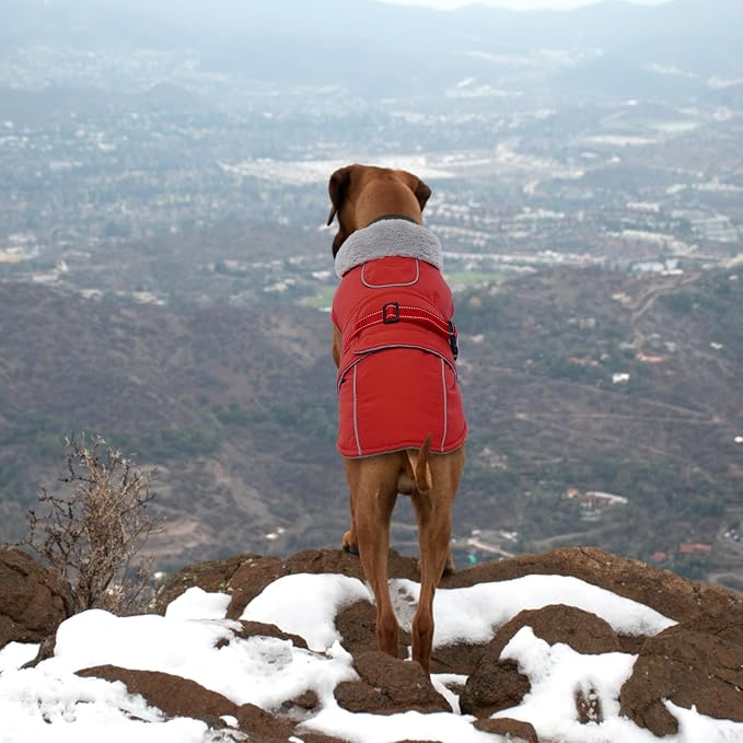 Lelepet Dog Coat Waterproof Dog Jacket Fleece Vest with Adjustable Buckle | Reflective Winter Coats with Adjustable Hook & Loop Closure Cold Weather Coats for Small Medium Large Dogs,Leash Hole Red, M