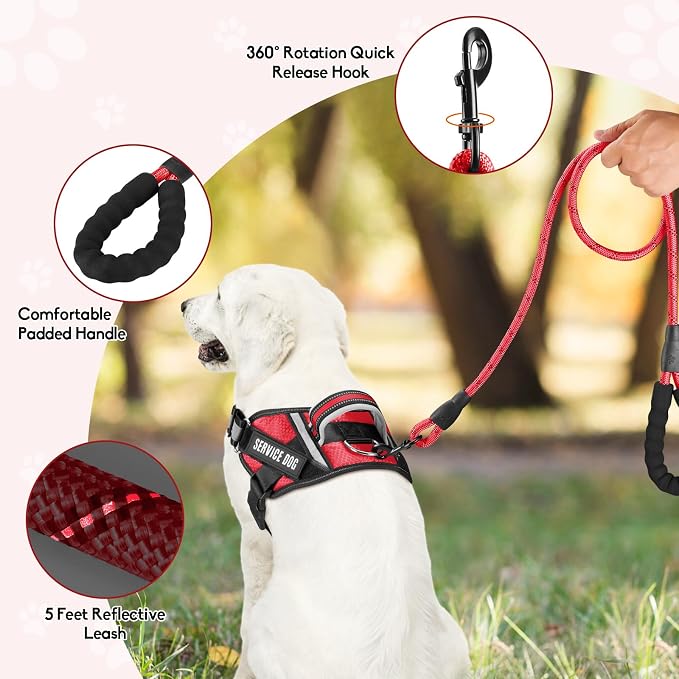 Service Dog Vest Harness and Leash Set, Animire in Training Dog Harness with 10 Dog Patches, Reflective Dog Leash with Soft Padded Handle for Small, Medium, Large, and Extra-Large Dogs (RED,XL)