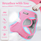 rabbitgoo Dog Harness Small Sized and Leash Set, Step-in Puppy Pet Vest | Light, Soft, Breathable Air Mesh, Easy on and Remove with Hook & Loop, Secure Reflective for Walking, Light Pink & Gray S