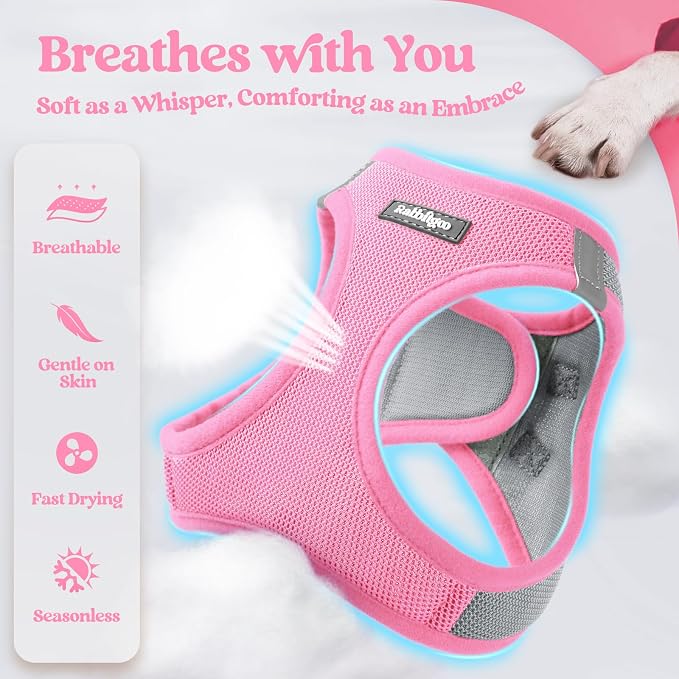 rabbitgoo Dog Harness Small Sized and Leash Set, Step-in Puppy Pet Vest | Light, Soft, Breathable Air Mesh, Easy on and Remove with Hook & Loop, Secure Reflective for Walking, Light Pink & Gray M