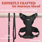 rabbitgoo Cat Harness and Leash Set, Escape Proof Vest, Black | Soft Breathable Mesh, Easy Adjustable Fit, Snap Buckles, Sturdy Clip, Reflective Strips, for Kittens & Small Cats Walks, Xxs