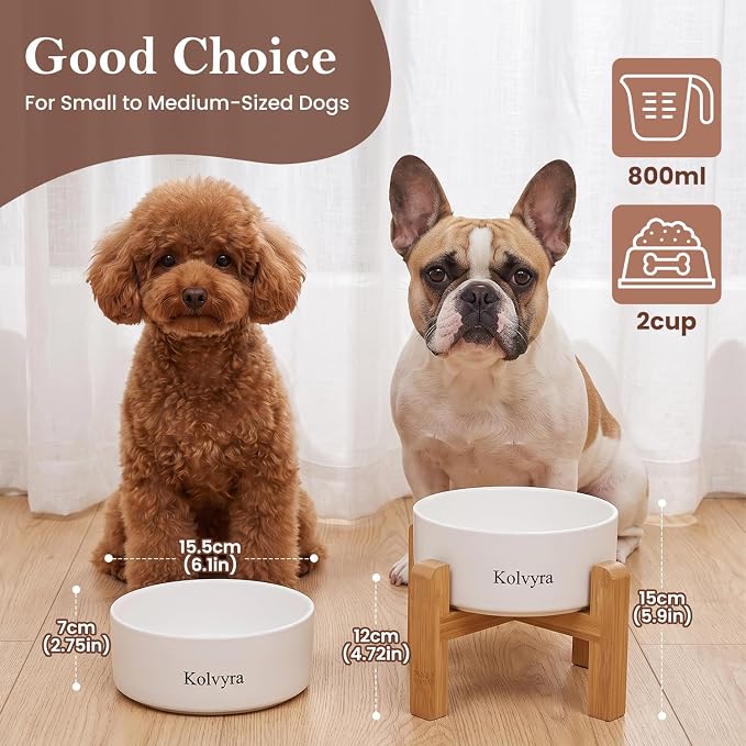 6" Elevated Ceramic Dog Bowl, Anti-Vomiting 23oz for Small Dogs | Premium Food-safe Ceramic with Anti-slip Wood Stand,Dishwasher Safe,Ergonomic Height Relieves Neck Strain,White