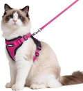 rabbitgoo Cat Harness and Leash Set, Escape Proof Vest, Rose Red | Soft Breathable Mesh, Easy Adjustable Fit, Snap Buckles, Sturdy Clip, Reflective Strips, for Medium to Large Cats Walks, M