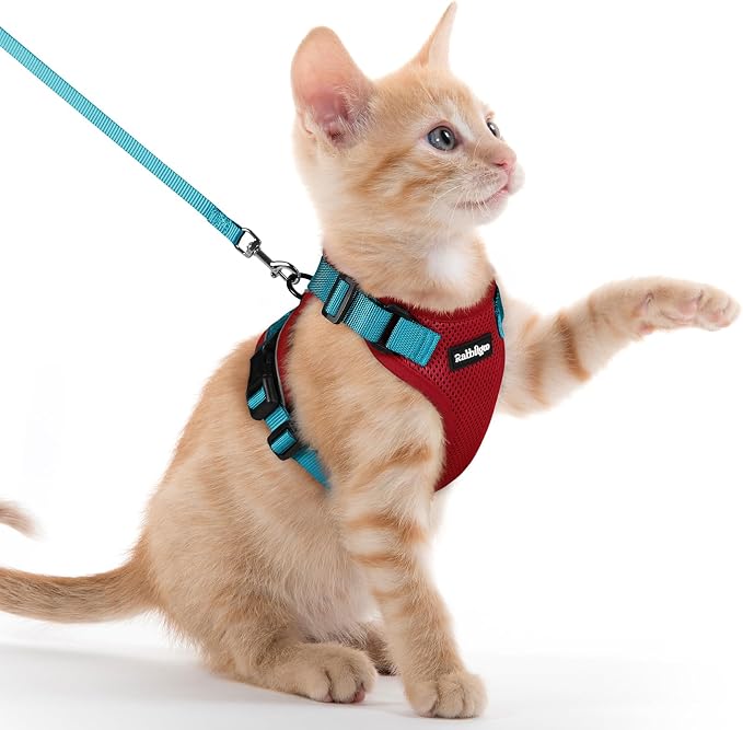 rabbitgoo Cat Harness and Leash Set, Escape Proof Vest, Red & Teal | Soft Breathable Mesh, Easy Adjustable Fit, Snap Buckles, Sturdy Clip, Reflective Strips, for Kittens & Small Cats Walks, Xxs