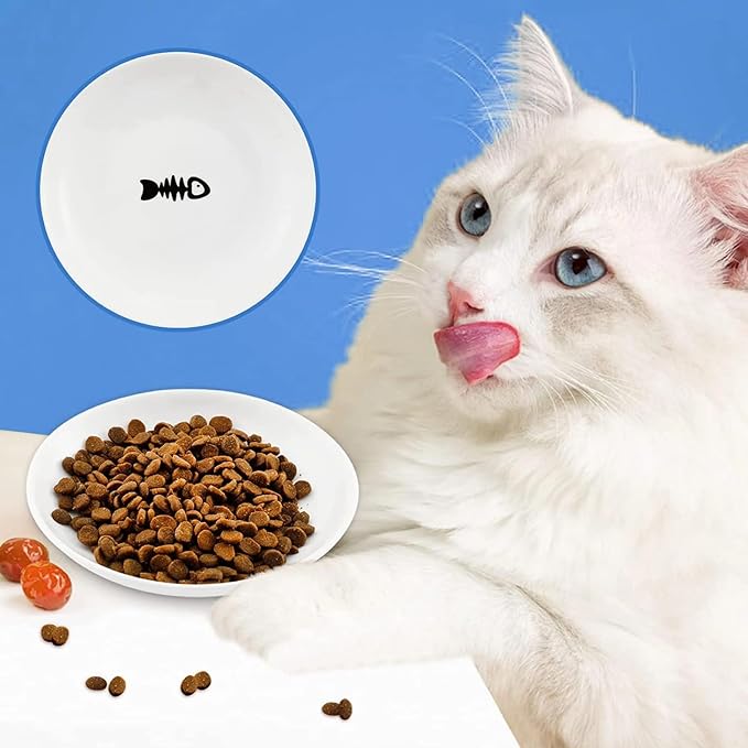 2 Ceramic Cat Bowls, 5.9 Inch Wide Shallow Feeding Dishes for Dry/Wet Food | Reduces whisker contact; lead-free; holds water too; dishwasher safe; stable heavy design; fits cats and small dogs