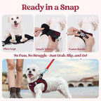 rabbitgoo Dog Harness Small Sized and Leash Set, Step-in Puppy Pet Vest | Light, Soft, Breathable Air Mesh, Easy on and Remove with Hook & Loop, Secure Reflective for Walking, Red Check XS