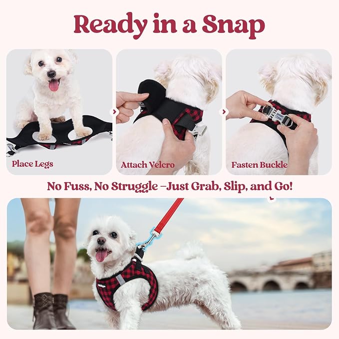 rabbitgoo Dog Harness Medium Sized and Leash Set, Step-in Puppy Pet Vest | Light, Soft, Breathable Air Mesh, Easy on and Remove with Hook & Loop, Secure Reflective for Walking, Red Check L