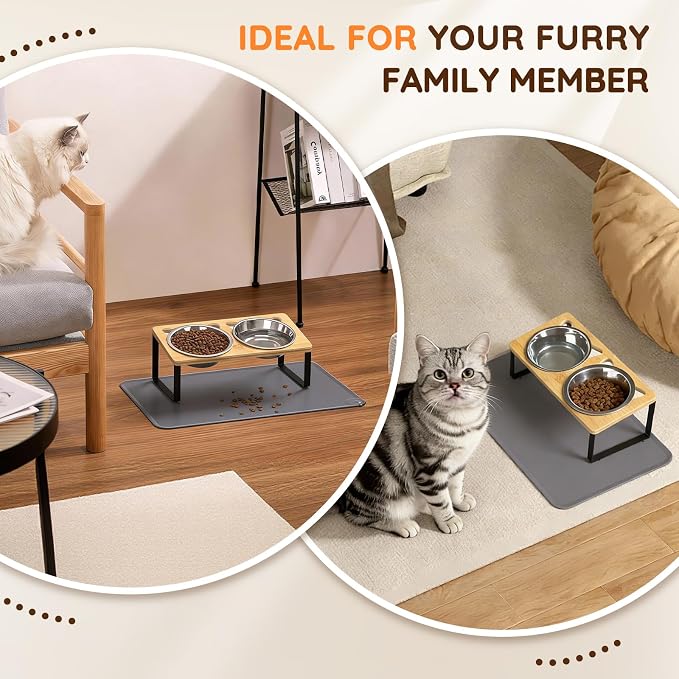 Elevated Cat Food Bowls with Mat, 2 Stainless Steel Raised Cat Food and Water Bowls, 15 Tilted Stand Anti Vomitting, Whisker Fatigue, Dishwasher Safe Cat Bowl