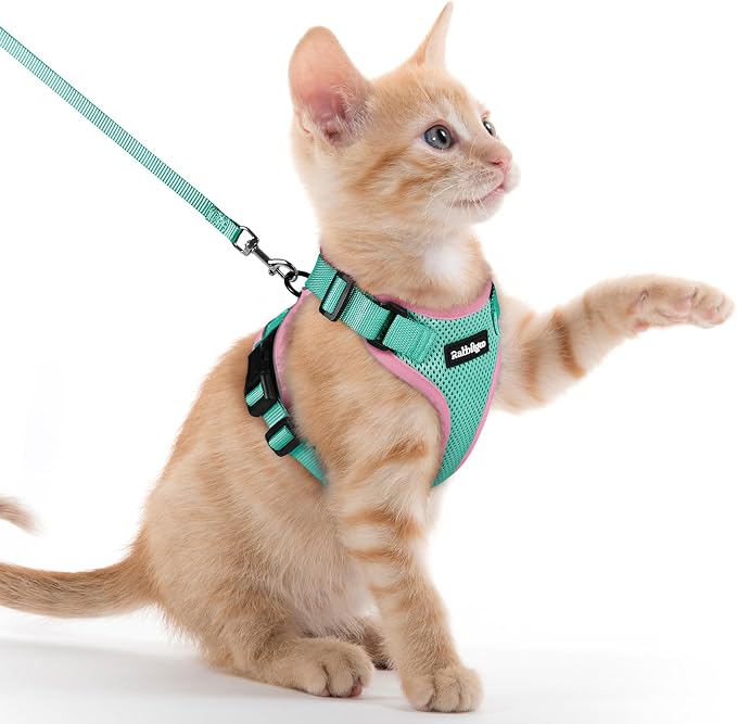 rabbitgoo Cat Harness and Leash Set, Escape Proof Vest, Green & Pink | Soft Breathable Mesh, Easy Adjustable Fit, Snap Buckles, Sturdy Clip, Reflective Strips, for Kittens & Small Cats Walks, Xxs