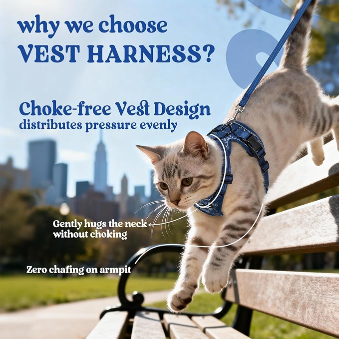 rabbitgoo Cat Harness and Leash Set, Escape Proof Vest, Cosmic Ace | Soft Breathable Mesh, Easy Adjustable Fit, Snap Buckles, Sturdy Clip, Reflective Strips, for Average Cats Walks, S