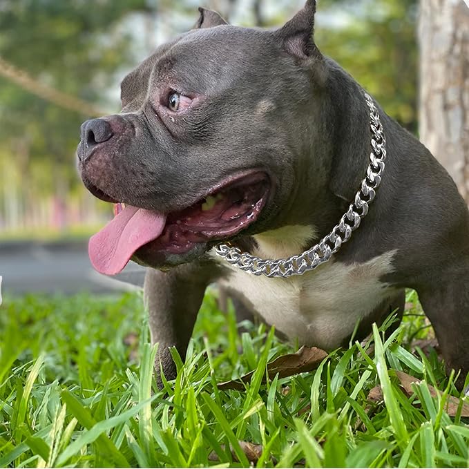Silver Metal Dog Chain with ID Tag Pendant, Strong Stainless Steel, Chew Proof Walking Collar for Medium Large Dogs (19MM 20'')
