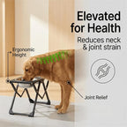 Foldable Elevated Dog Bowl Holder with 2 Large 58oz Stainless Steel Bowls, 10.2" Tall Raised Dog Bowl Stand for Medium/Large Breeds, Indoor and Outdoor Use