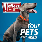 Jeffers Pet Vanilla Walnut Conditioning Dog & Cat Shampoo, 17 oz – Deodorizing Grooming Wash, Coconut Based Soap Free Formula, Walnut Oil & Vanilla Extract, Vitamins A D E, Concentrated Coat Care