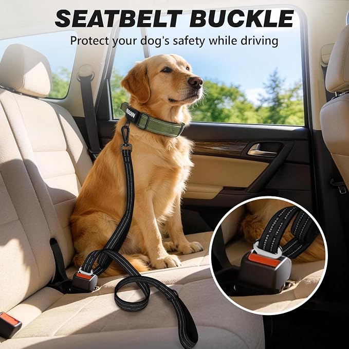 Double Handle Dog Leash with Poop Bag Holder and Car Seat Belt Buckle | Heavy Duty | Double Handle | with Poop Bag Holder | with Car Seat Belt Buckle | Reflective | Lightweight