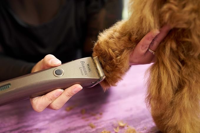 Wahl Professional Animal Bravura Lithium Ion Clipper, 41870-0425, Gunmetal | Professional-Grade Pet Clippers for Grooming, 5-in-1 Fine Adjustable Blade, Perfect for Cats and Small to Medium-Sized Dogs