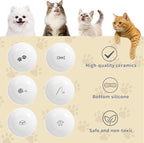 Non-Slip Cat Food Bowls, 6 Pack Whisker-Friendly Ceramic Bowls | 5.6-Inch Wide Shallow Bowl, Silicone Base, Food-Safe Ceramic, Dishwasher & Microwave Safe, Easy Clean