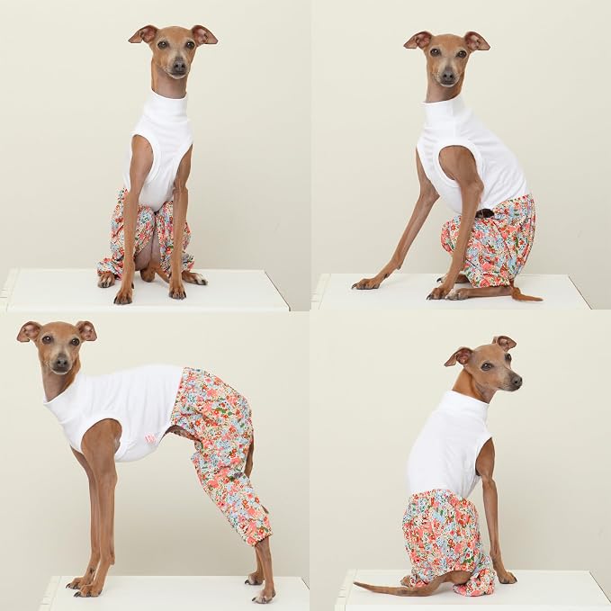 D Doggy Star Italian Greyhound Clothes Mombbe Onesie Outfit Whippet for Dog Coat (3XL,Mombbe Orange)