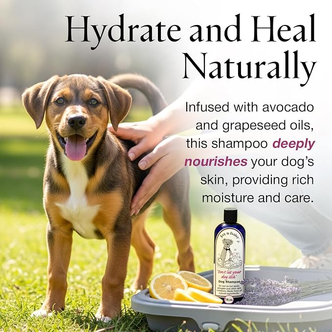 Jax n Daisy Dog Shampoo - Gentle and Effective Allergy and Sensitive Skin Shampoo for Dogs - Eliminates Odors, Fleas, and Soothes Itchy Skin - Perfect for Puppies