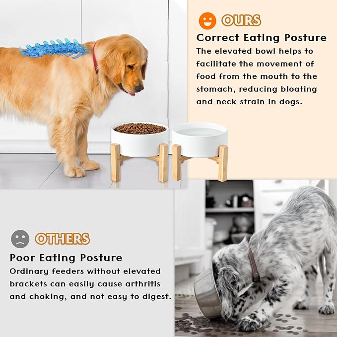 SPUNKYJUNKY Ceramic Elevated Dog Bowls 2 Pack - 8.3inch Raised Dog Bowls with Non-Slip Wooden Stand for Large Dogs Dishwasher Safe(White,60OZ*2)