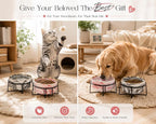 Dazzling Ceramic Elevated Cat Bowls, Gift for Cat Owner, Birthday (Medium,Grey)