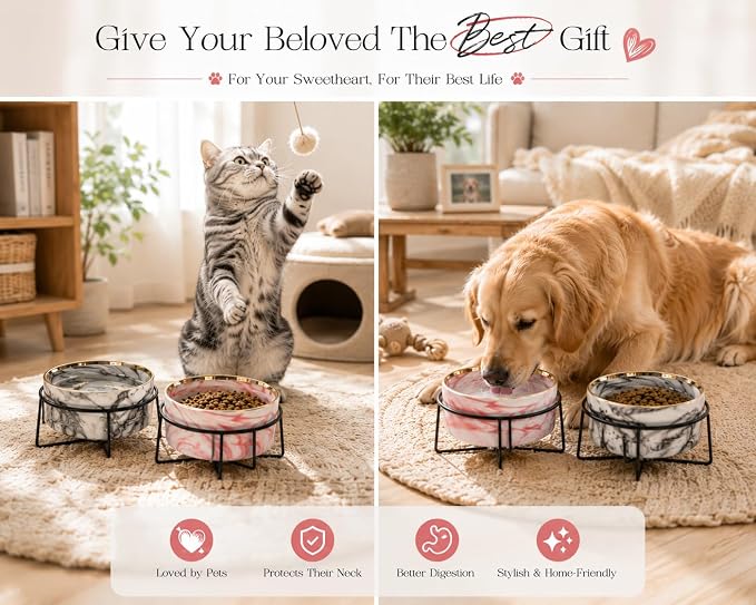 Dazzling Ceramic Elevated Cat Bowls,Raised Dog Cat Pet Food Water Bowl for Indoor(Pink, Large)