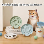 Melamine Cat Slow Feeder Bowl - Pastel Series Cat Plate for Dry and Wet Food - Cute Maze Feeder Dish for Healthy Eating - Dishwasher Safe - 6.3''W x 1.2''H - 7 OZ - Mint Green