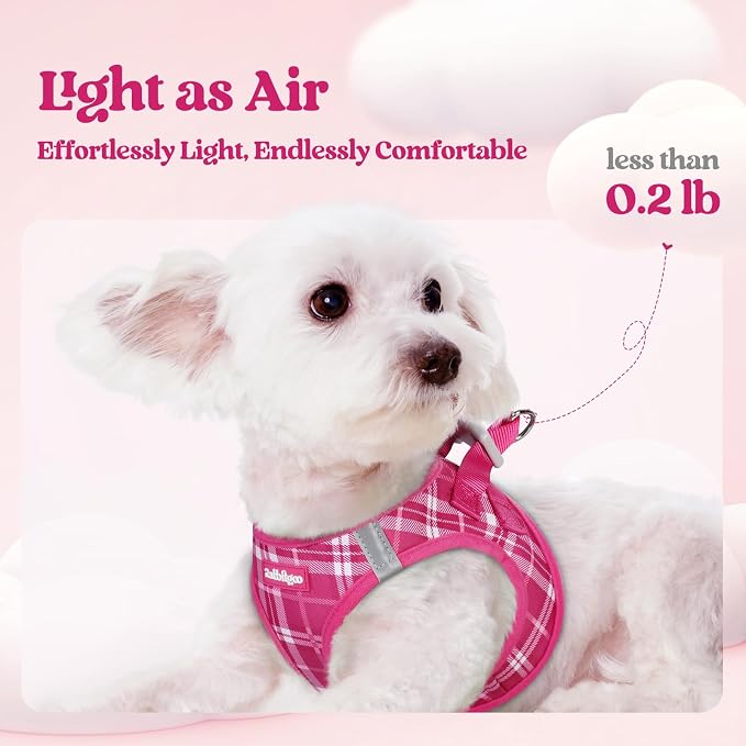 rabbitgoo Dog Harness Small Sized and Leash Set, Step-in Puppy Pet Vest | Light, Soft, Breathable Air Mesh, Easy on and Remove with Hook & Loop, Secure Reflective for Walking, Rose Red Plaid XXS