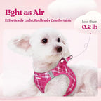 rabbitgoo Dog Harness Small Sized and Leash Set, Step-in Puppy Pet Vest | Light, Soft, Breathable Air Mesh, Easy on and Remove with Hook & Loop, Secure Reflective for Walking, Rose Red Plaid XXS
