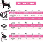 WINSEE Pet Harness Collar and Leash Set, All-in-one Reflective Dog Harness No Pull with Adjustable Buckles for Puppies, Small, Medium, Large, and Extra-Large Dogs (Small, Pink)