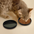 Ceramic Cat Bowls - Shallow Dishes for Food and Water, 6 Inch Matte Finish Wide Cat Food Bowl, Whisker Fatigue Free Pet Puppy Kitten Bowl Set of 3, Dishwasher Safe