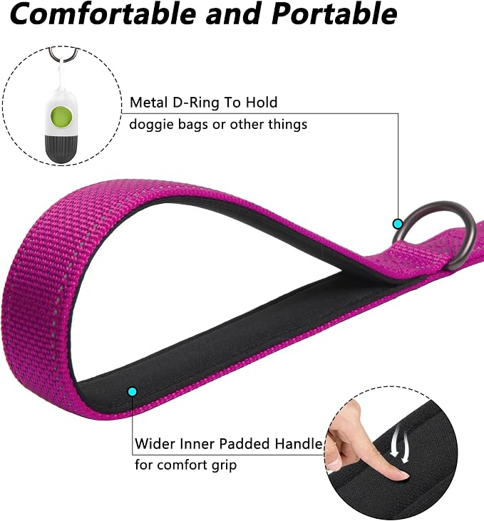 PetiFine 6FT Heavy Duty Dog Leash with Soft Padded Double Handle | Traffic Handle Extra Control,Auto Lock Hook,Reflective Nylon Walking Lead for Large,Medium,Small Breed Dogs