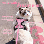 rabbitgoo Cat Harness and Leash Set, Escape Proof Vest, Pink | Soft Breathable Mesh, Easy Adjustable Fit, Snap Buckles, Sturdy Clip, Reflective Strips, for Kittens & Small Cats Walks, Xxs