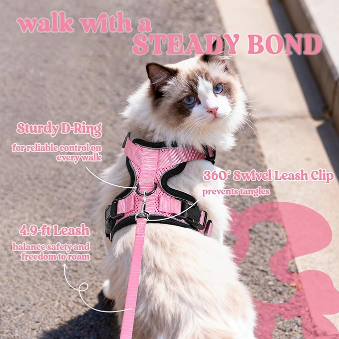 rabbitgoo Cat Harness and Leash Set, Escape Proof Vest, Pink | Soft Breathable Mesh, Easy Adjustable Fit, Snap Buckles, Sturdy Clip, Reflective Strips, for Kittens & Small Cats Walks, Xxs