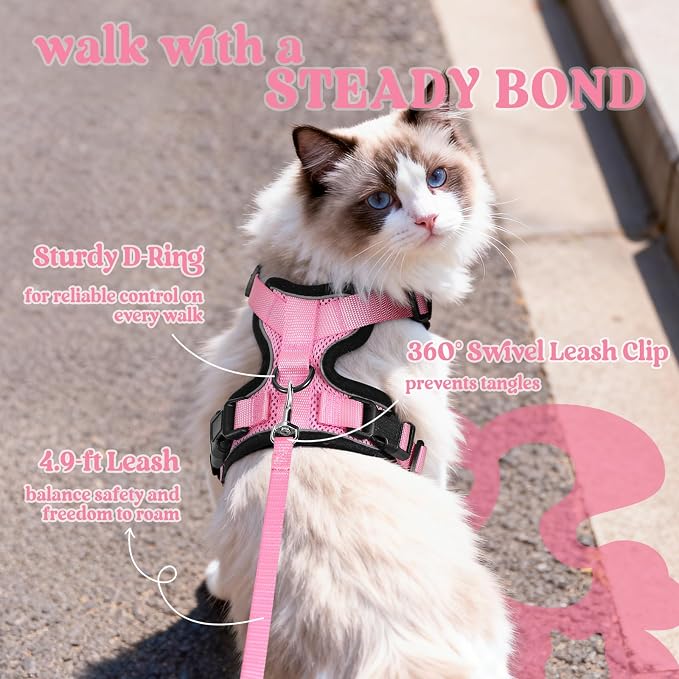 rabbitgoo Cat Harness and Leash Set, Escape Proof Vest, Pink | Soft Breathable Mesh, Easy Adjustable Fit, Snap Buckles, Sturdy Clip, Reflective Strips, for Average Cats Walks, S