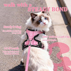 rabbitgoo Cat Harness and Leash Set, Escape Proof Vest, Pink | Soft Breathable Mesh, Easy Adjustable Fit, Snap Buckles, Sturdy Clip, Reflective Strips, for Medium to Large Cats Walks, M