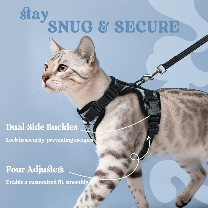 rabbitgoo Cat Harness and Leash Set, Escape Proof Vest, Doodle Gray | Soft Breathable Mesh, Easy Adjustable Fit, Snap Buckles, Sturdy Clip, Reflective Strips, for Kittens & Small Cats Walks, Xxs