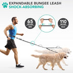 PetAmi Hands Free Double Dog Leash with Padded Lumbar Waist Belt, 360 No-Tangle Swivel Coupler, Bungee Shock Absorbing Dual Leash for Two Dogs Medium Large, Reflective, Black