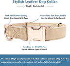 Soft Leather Dog Collar and Leash (6.6') Set - Stylish Rose Gold Heavy Duty Metal Buckle, 4 Adjustable Lengths Leash for Small Medium Large Dogs - Comfortable & Easy to Clean Beige XS(8"-12")