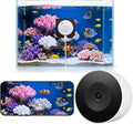 litokam F1.0 Aperture Fish Tank & Reptile Pet Camera.2K 3MP Anti-Glare Aquarium Terrarium Camera with Close-Focus Lens, 147° Ultra-Wide Angle, 3X Zoom, 2.4G/5GHz WiFi