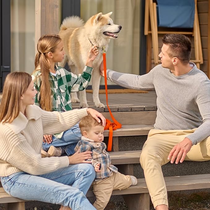 Viper Biothane K9 Working Dog Leash Waterproof Lead for Tracking Training Schutzhund Odor-Proof Long Line with Solid Brass Snap for Puppy Medium and Large Dogs, 10ft Hunter Orange