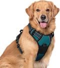 rabbitgoo Dog Harness No Pull with 2 Leash Clips, Adjustable Soft Padded, Reflective Oxford No Choke Pet Vest with Easy Control Handle for Large Dogs, Blue Coral, XL | No Choke with Handle, Adjustable Soft Padded, Reflective, Easy Control for Walking, ...