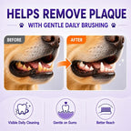 Dog Toothbrush, Dual-Head, for Medium-Large Dogs, Orange | Soft Bristles for Gentle Cleaning, 60° Curved Bristles for Better Coverage, Comfortable for Sensitive Gums