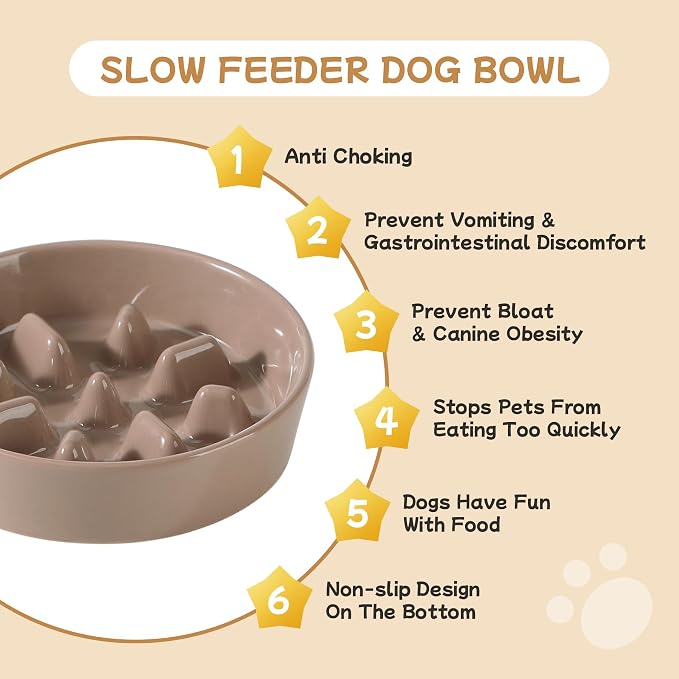 Havniva Elevated Slow Feeder Dog Bowls, Ceramic Dog Bowl Slow Feeder Set | 0.9 Cups Raised Slow Feeding Bowl for Small Breed, 6.1” Dog Water Bowl with Wooden Stand, Puzzle Dog Slow Feeder, Non-slip