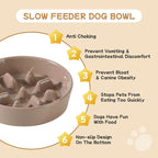 Havniva Elevated Slow Feeder Dog Bowls, Ceramic Dog Bowl Slow Feeder Set | 0.9 Cups Raised Slow Feeding Bowl for Small Breed, 6.1” Dog Water Bowl with Wooden Stand, Puzzle Dog Slow Feeder, Non-slip