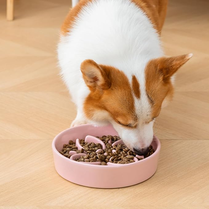 vancasso Ceramic Slow Feeder Dog Bowls, Puzzle Dog Food Bowls with Floral Maze, Anti -Slip Pet Food Dish for Medium Breed, 1.5 Cups, Pink